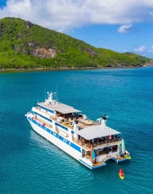 Cruises