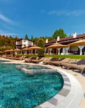 Hotels Chains